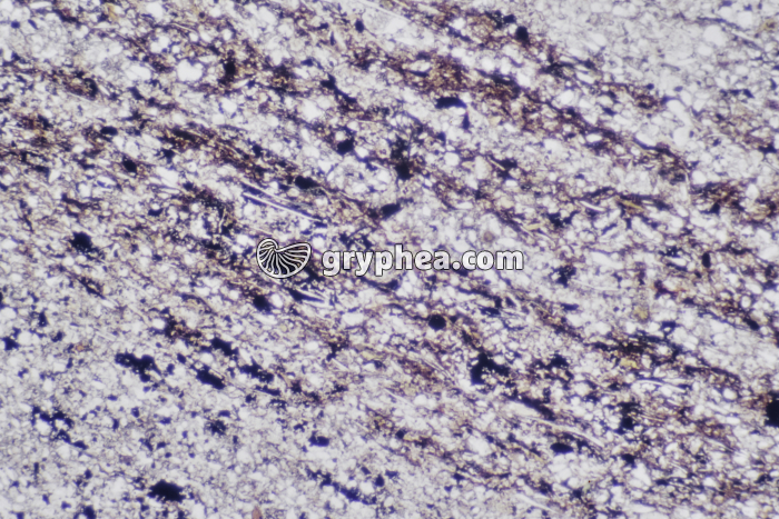 Pélite x12,5 LPNA - gryphea.com